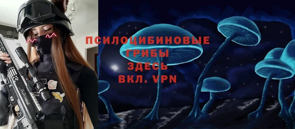 spice Белокуриха